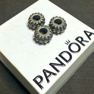 Pandora 925 Charm Bundle.